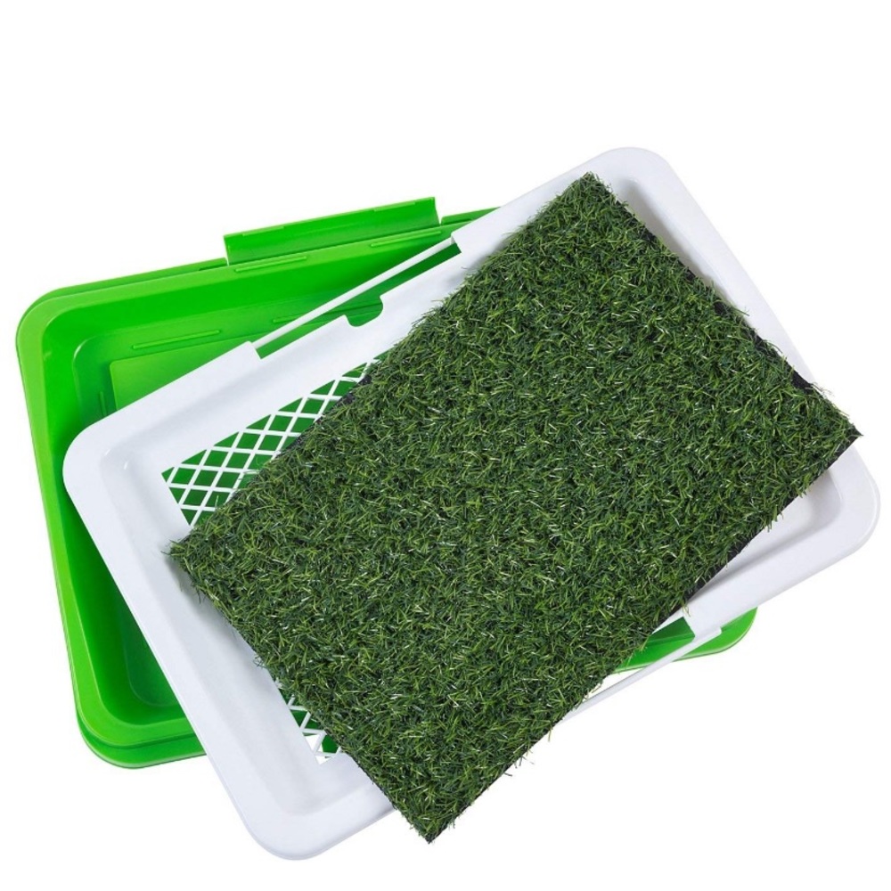 Dog Indoor Synthetic Grass Potty Trainer - Picture 2 of 7